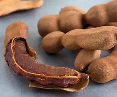 Tamarind