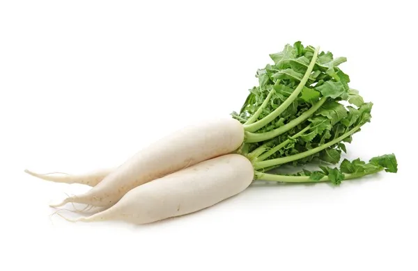 Daikon - White Radish