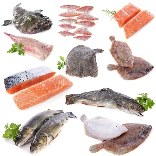 Global Sea Fish Varieties